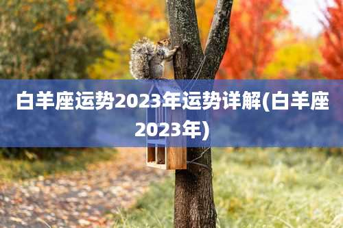 白羊座运势2023年运势详解(白羊座2023年)
