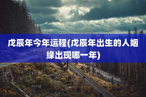 戊辰年今年运程(戊辰年出生的人姻缘出现哪一年)