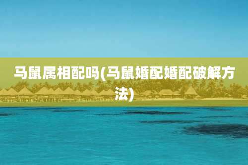 马鼠属相配吗(马鼠婚配婚配破解方法)