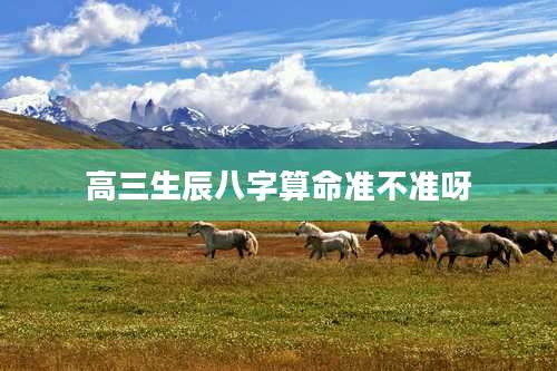 高三生辰八字算命准不准呀