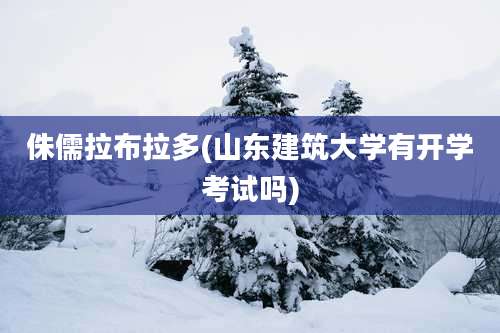 侏儒拉布拉多(山东建筑大学有开学考试吗)