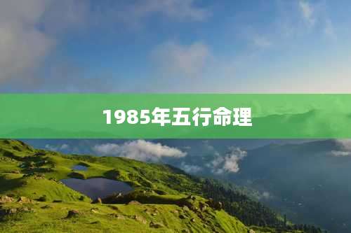 1985年五行命理