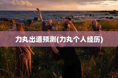 力丸出道预测(力丸个人经历)