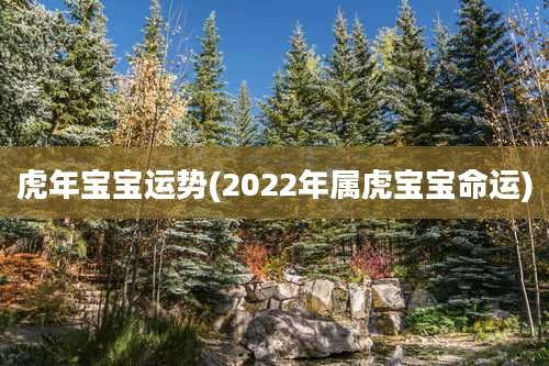 虎年宝宝运势(2022年属虎宝宝命运)