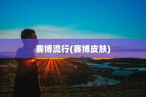 赛博流行(赛博皮肤)