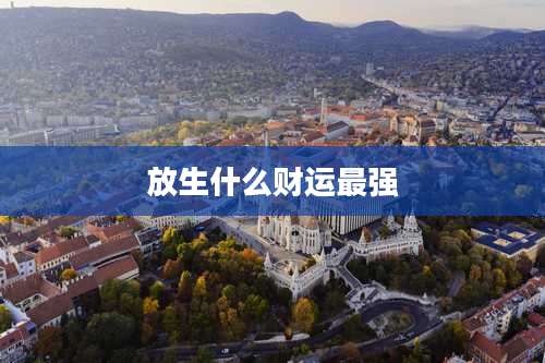 放生什么财运最强