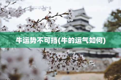 牛运势不可挡(牛的运气如何)