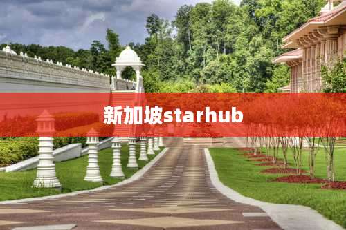 新加坡starhub