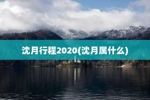 沈月行程2020(沈月属什么)