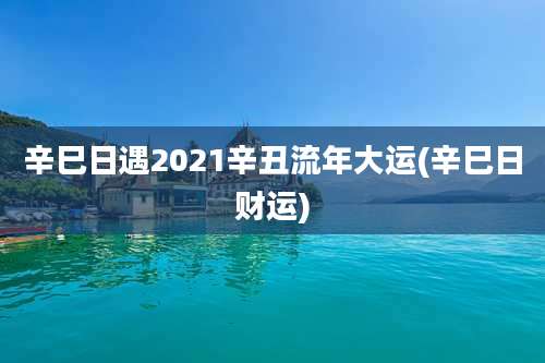 辛巳日遇2021辛丑流年大运(辛巳日财运)