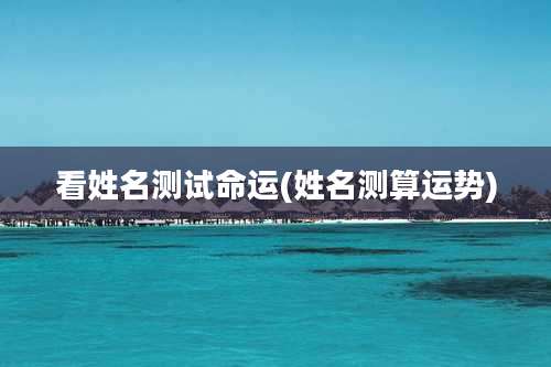 看姓名测试命运(姓名测算运势)