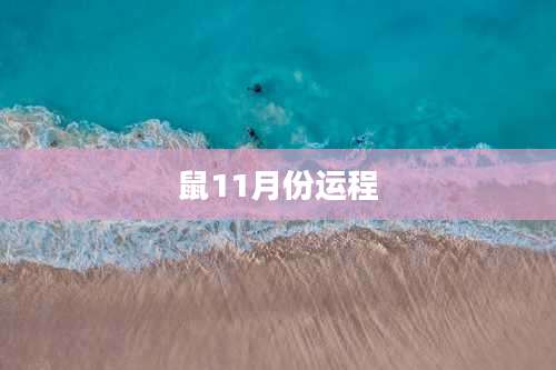 鼠11月份运程