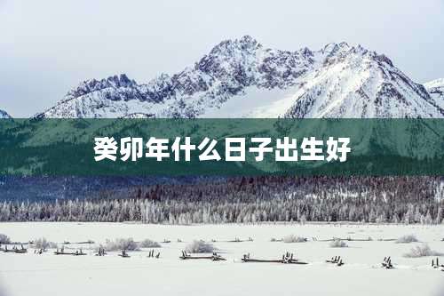 癸卯年什么日子出生好