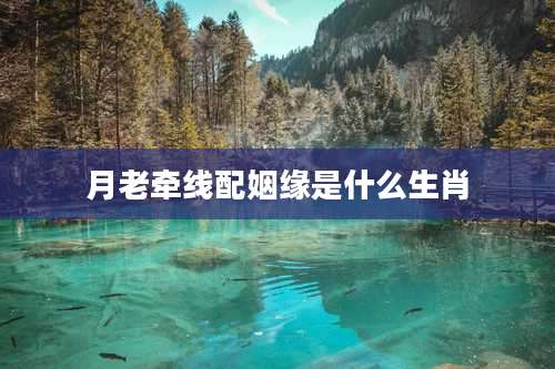 月老牵线配姻缘是什么生肖