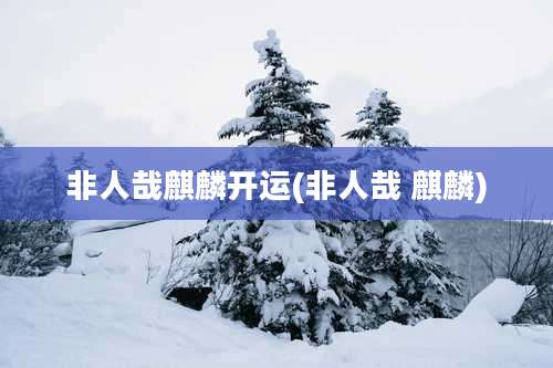 非人哉麒麟开运(非人哉 麒麟)