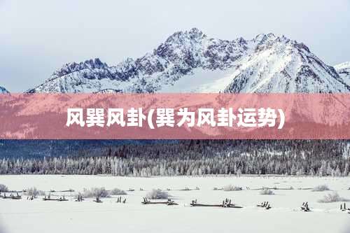 风巽风卦(巽为风卦运势)