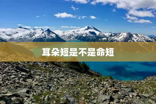 耳朵短是不是命短