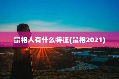 鼠相人有什么特征(鼠相2021)