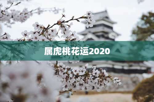属虎桃花运2020