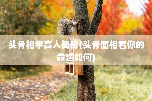 头骨相学高人揭秘(头骨面相看你的命运如何)