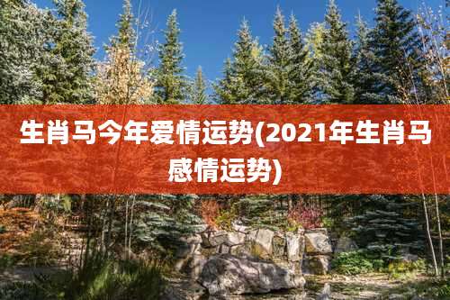 生肖马今年爱情运势(2021年生肖马感情运势)