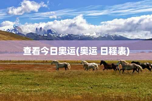 查看今日奥运(奥运 日程表)