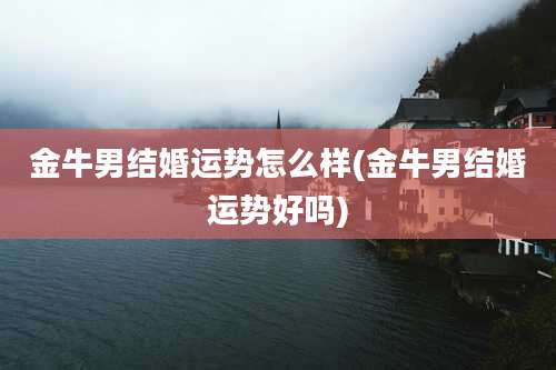 金牛男结婚运势怎么样(金牛男结婚运势好吗)