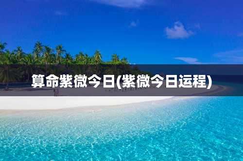 算命紫微今日(紫微今日运程)