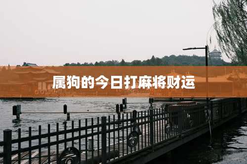 属狗的今日打麻将财运