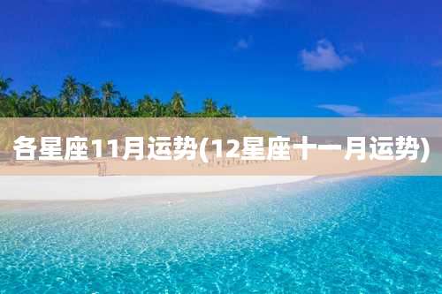 各星座11月运势(12星座十一月运势)