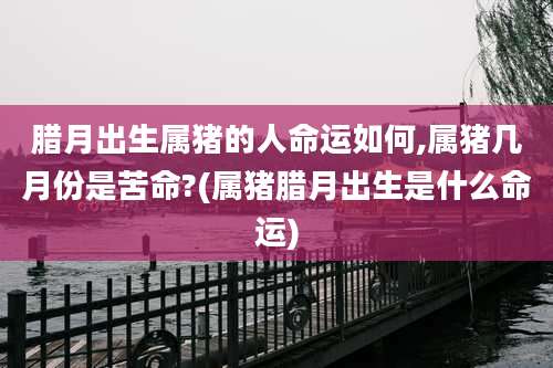 腊月出生属猪的人命运如何,属猪几月份是苦命?(属猪腊月出生是什么命运)