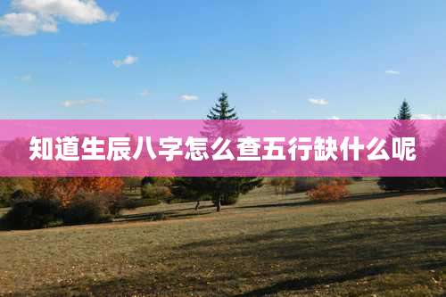 知道生辰八字怎么查五行缺什么呢