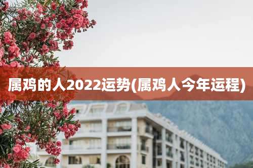属鸡的人2022运势(属鸡人今年运程)