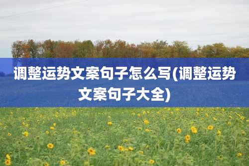 调整运势文案句子怎么写(调整运势文案句子大全)