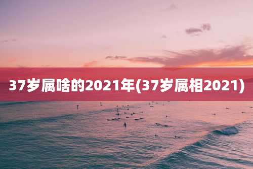 37岁属啥的2021年(37岁属相2021)