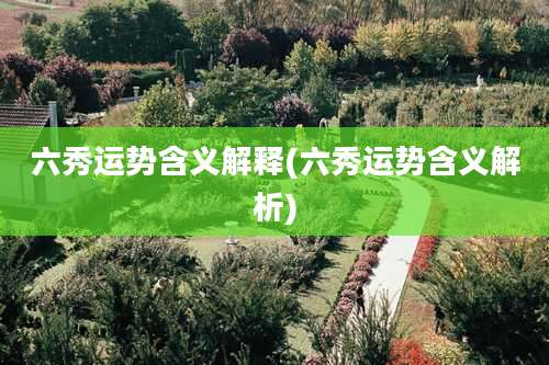 六秀运势含义解释(六秀运势含义解析)