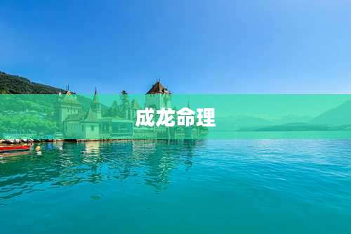 成龙命理