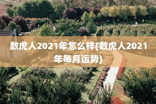 数虎人2021年怎么样(数虎人2021年每月运势)