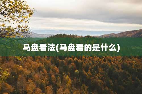 马盘看法(马盘看的是什么)