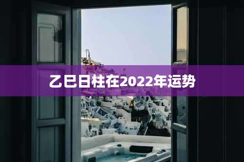 乙巳日柱在2022年运势