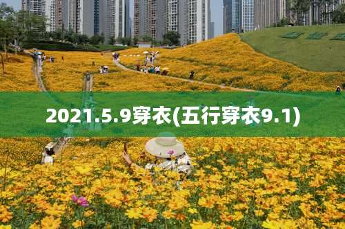 2021.5.9穿衣(五行穿衣9.1)