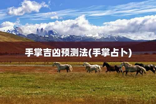 手掌吉凶预测法(手掌占卜)