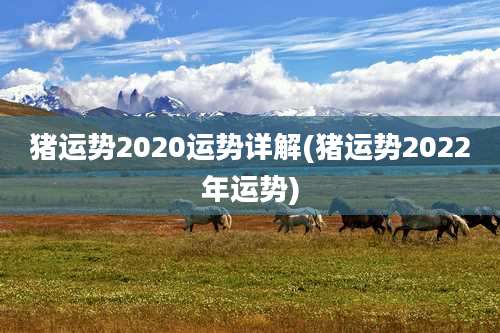 猪运势2020运势详解(猪运势2022年运势)
