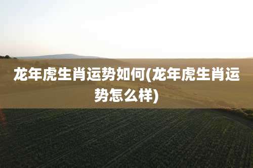 龙年虎生肖运势如何(龙年虎生肖运势怎么样)