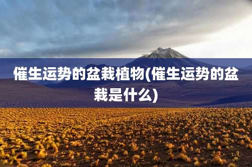 催生运势的盆栽植物(催生运势的盆栽是什么)