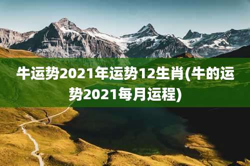 牛运势2021年运势12生肖(牛的运势2021每月运程)