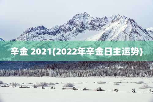 辛金 2021(2022年辛金日主运势)