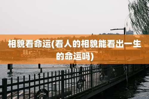 相貌看命运(看人的相貌能看出一生的命运吗)