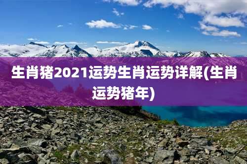 生肖猪2021运势生肖运势详解(生肖运势猪年)