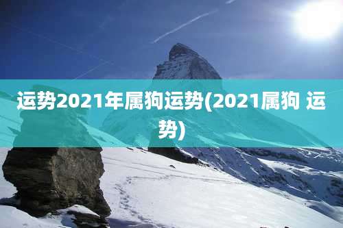 运势2021年属狗运势(2021属狗 运势)